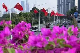 一项全国第一，两项全国第二，深圳科创数据亮眼图片