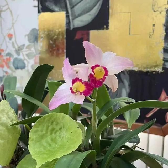 冷冷冷！雪后风起，冬游北京温暖指南——