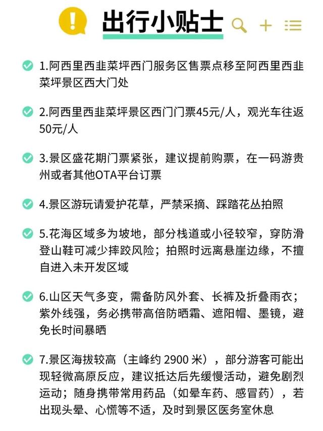 从七星关去韭菜坪，去看云上花海
