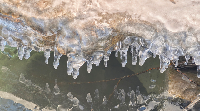 冬日颐和园：昆明湖冰裹树枝，宛如水晶雕塑