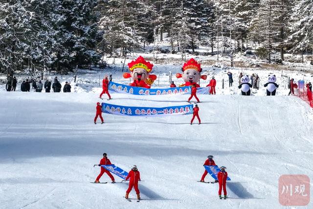 夹金山下滑雪！跟着大熊猫冬游雅安