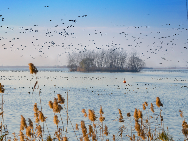 辞家千里又千里，盐城想你很想你
