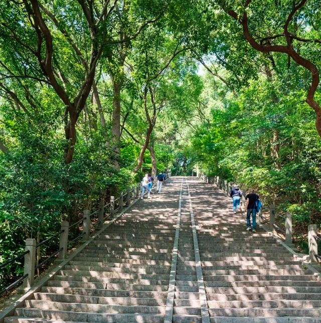 老地标变身新网红！跟着“旅超”玩转松江，元旦期间多家景区免费开放，吃住也有优惠