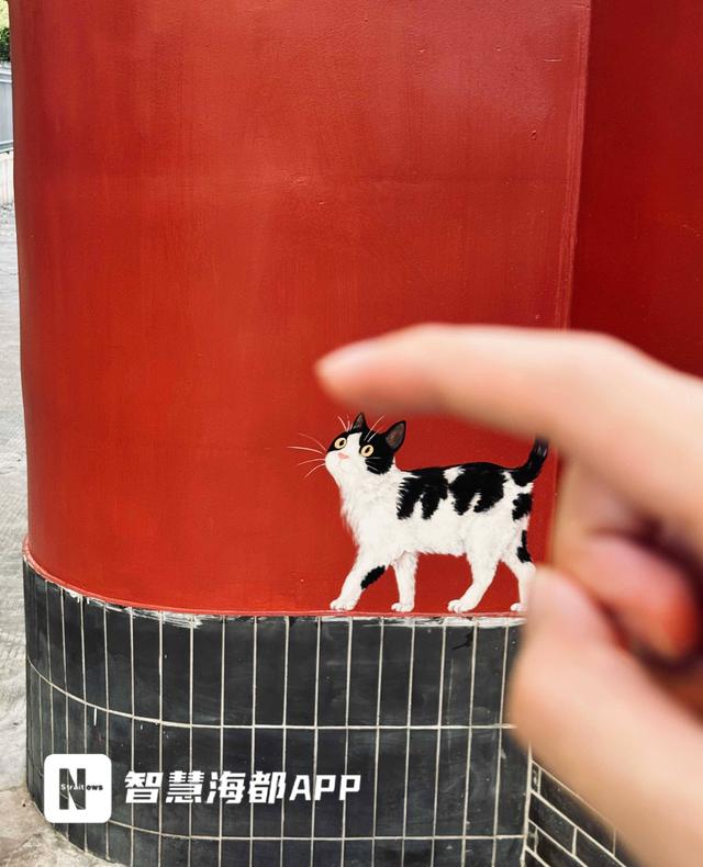 榕城创意打卡墙“墙”势出圈