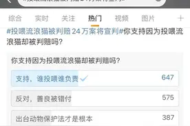 “男子被流浪猫绊倒投喂者被判赔24万”，网友为何吵翻了？图片
