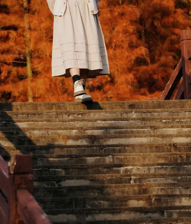 免费！超出片！这片「水上油画」，就在青白江这里→