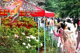 年票可用！洛阳赏花门票价格、免票人群、营业时间公布…图片