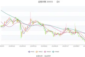 金陵体育：2024年上半年净利润1346.56万元 同比下降0.02%图片
