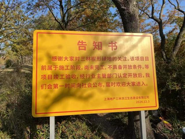 三林水森林未开先火，网络疯转“潜入攻略”！记者探访：确有不少游客；建设方：今年内完工，请静待开放