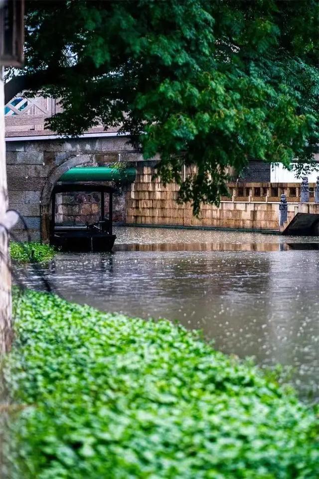 乘高铁赏秋景！从上海前往这些城市1小时内即可抵达