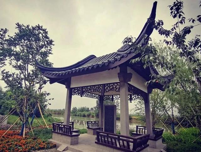 跟着《大生意人》“读”盐城