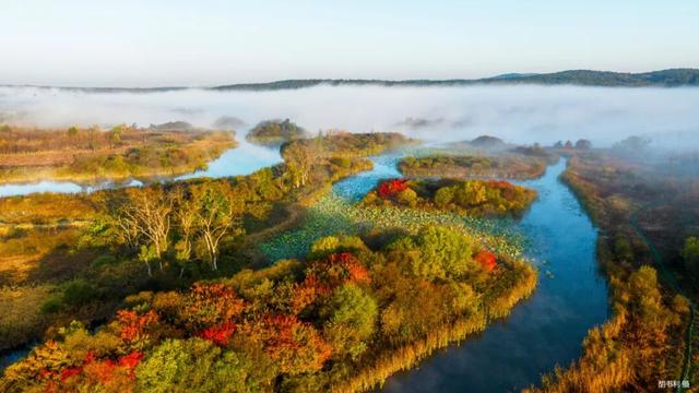 景区通知 请查收→