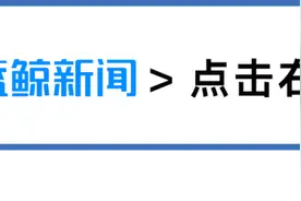 蓝鲸 | 东旭系持续承压，前石家庄首富李兆廷遭立案图片