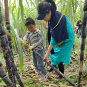 N重惊喜~南湖的周末，无限欢乐！