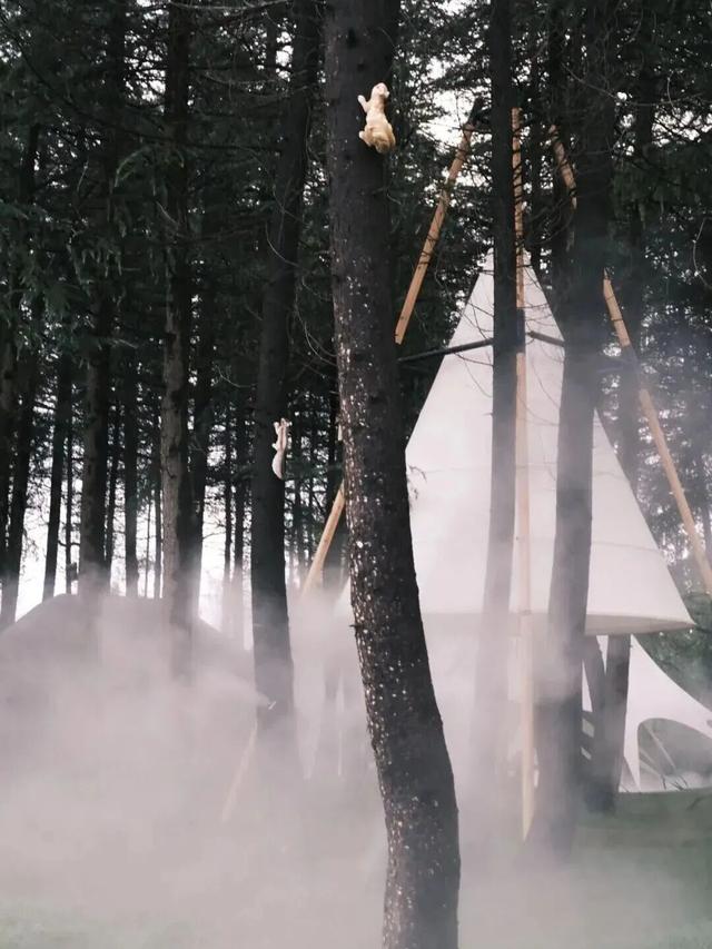 林间咖啡、湖中落日...嵩县这处小众秘境，你一定要知道！