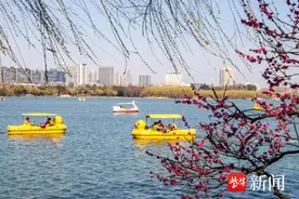 创新“花”样！南京文旅春季产品精彩上线图片