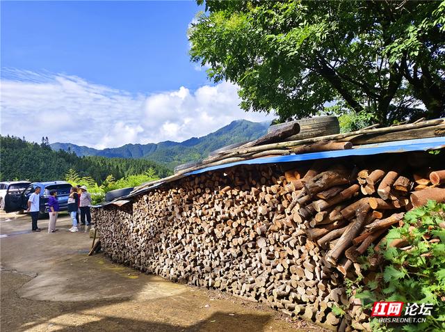 何必去远方？在桂东，我遇见23℃的夏天