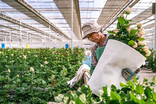 时政微观察丨非凡“十四五”，民生答卷有厚度更有温度