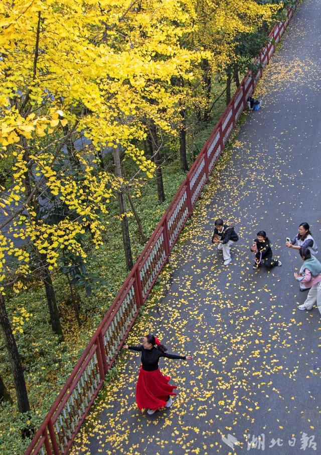 恩施市：山城冬韵秋色惹人醉