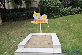 狗狗也有专属“公厕”？这真不是多此一举图片