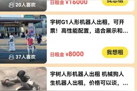 机器人走红租赁市场，日租最高一万多，网友：“这是铁皮打工人”图片