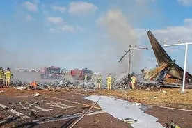 航空专家：韩国空难或因机组在鸟击后忽略未放下起落架所致图片