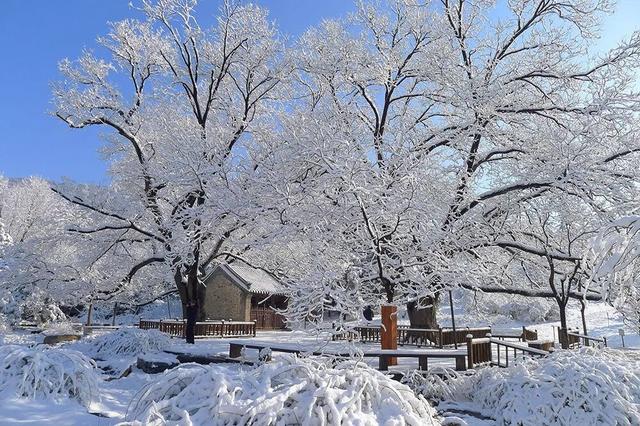 北京全城等雪来！故宫约不上？这些地方随手一拍也是大片——