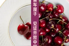 尺素金声｜“明星”水果车厘子，见证开放中国带来的世界机遇图片