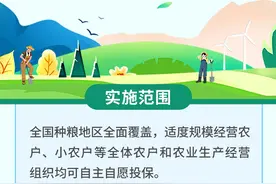 一图速览三大粮食作物完全成本保险和种植收入保险图片