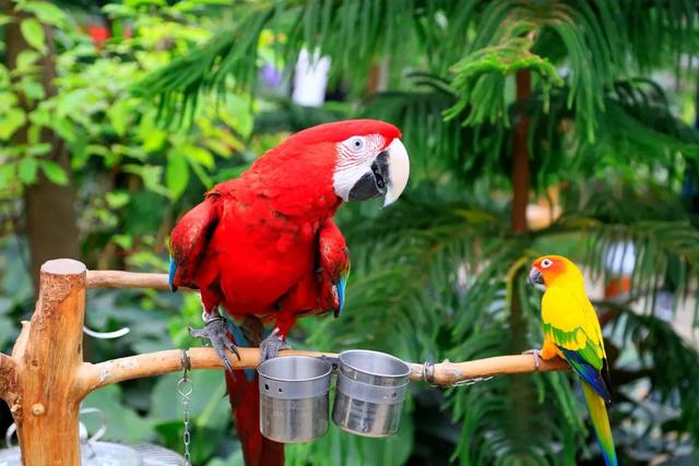 元旦去丰台，全家一键解锁冬日微度假小确幸——