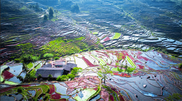 初冬限定！三明的山林、梯田、古村，藏着最治愈的风光