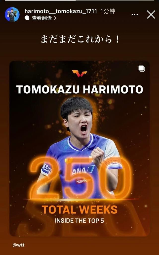 张本智和累计250周排名世界前五