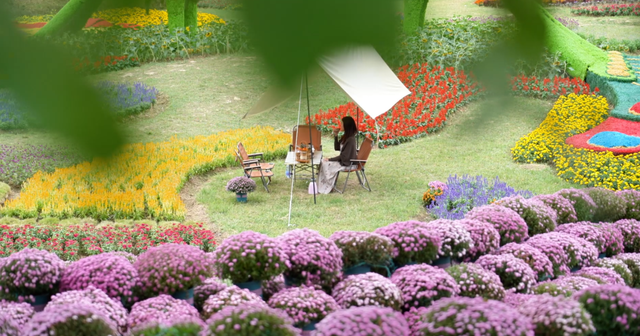 门票免费送！里水百亩花海上新！拍照遛娃圣地→