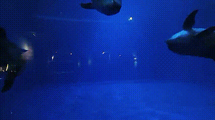 快来！鄂尔多斯这个遛娃地焕新升级！