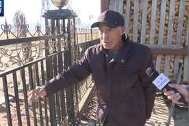 “它要是再扒门，我跑也来不及了！”当事人回忆老虎进村细节图片