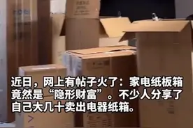 热闻|二手平台上，电视纸箱竟然卖到500元！网友惊呼：那么值钱？！早知道留着了……图片