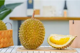 抢鲜！不用打飞的，榴莲界霸主，马来西亚猫山王，鲜果树上熟，香气更浓郁图片