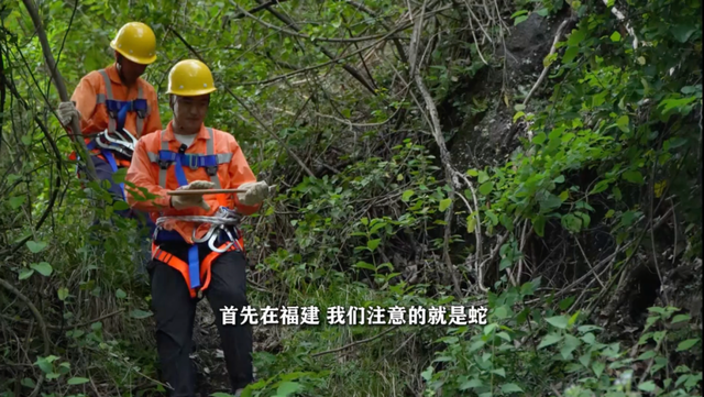 高温下的坚守——铁路线上的“攀岩者”