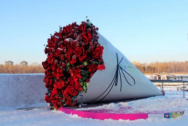 冰雪辽缘|雪落故乡，玫瑰、琴音唤远客