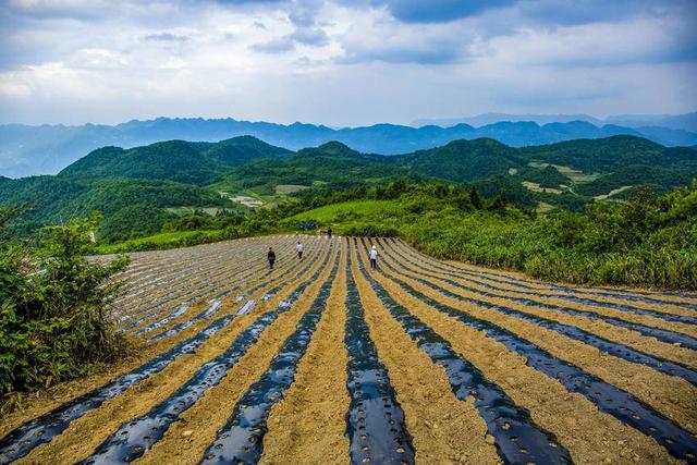 利川云雾山：日月绣岭结仙梁