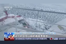 涉及海冰研究、海洋生物等 我国南极科考有了新发现图片