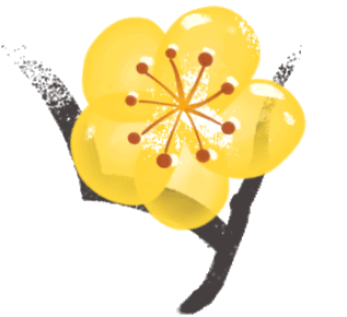 “Mei，我在连云港想开了！”