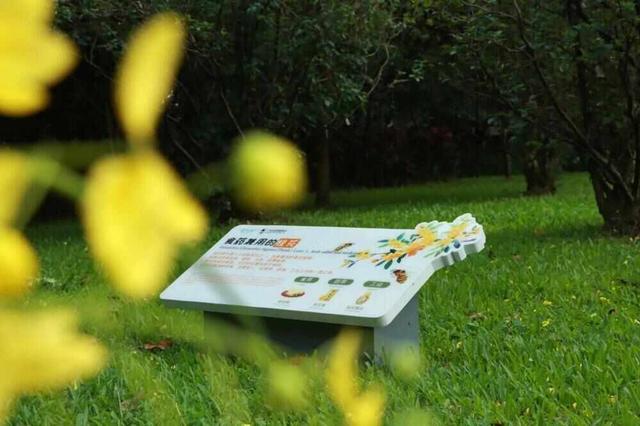 这封珠江公园的“绿色”家书中，藏着广州CBD的“四季画廊”｜信暖珠江④