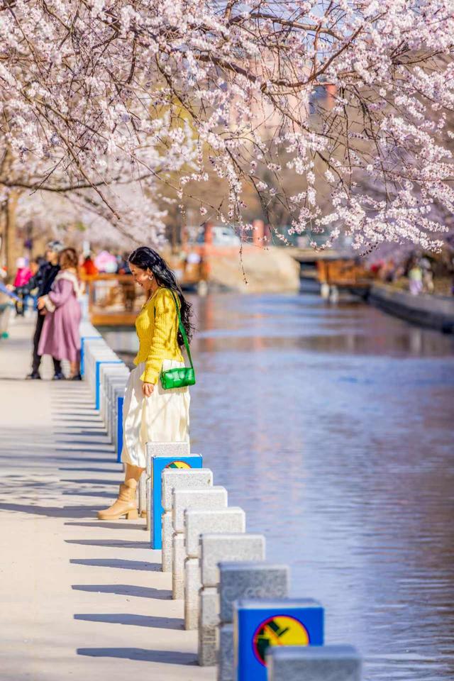 惊艳！北京十里堡桃花绽放，诉说春日浪漫