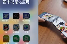 升级“原生鸿蒙”无法用微信？华为技术客服：需蹲抢名额，抢不到可进行版本回退视频封面