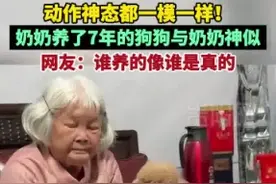 一看就是奶奶带大的毛孩子 网友：谁养的像谁是真的图片