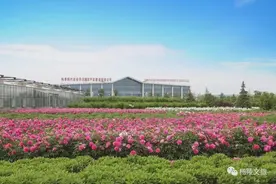 春潮涌动看杨陵 | 和美大寨按下乡村振兴“加速键”图片