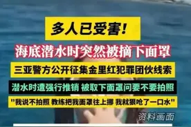 游客潜水被摘面罩强制拍照，生命安全岂容儿戏图片