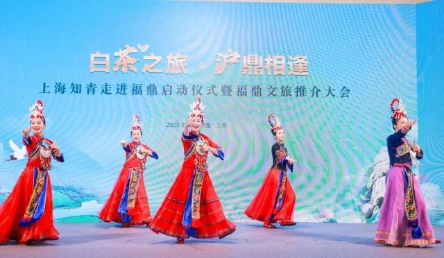 沪鼎相逢，大有看头