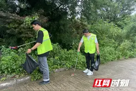 张家界国家森林公园袁家界景区：全员清洁日 共筑绿色文明旅游新篇章图片